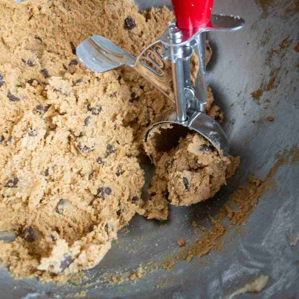 Chocolate Chip Molasses Cookie Dough
