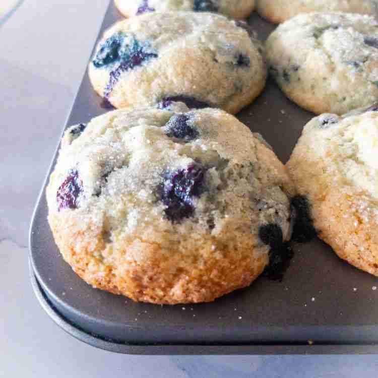 Buttermilk Blueberry Muffins