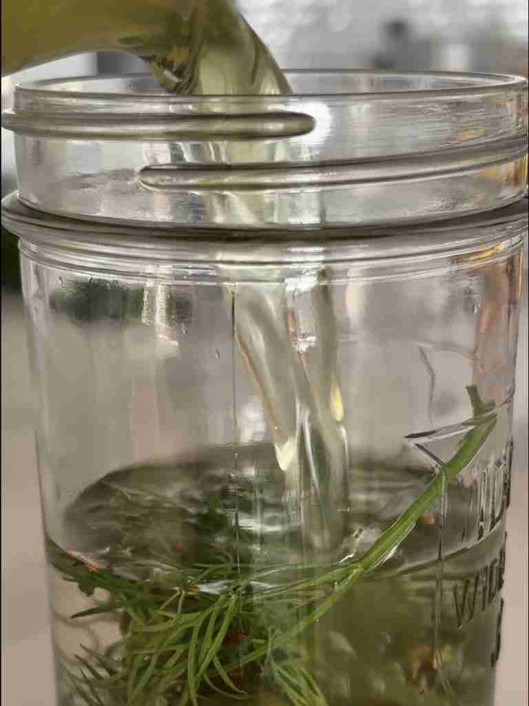 Dill Pickle Vodka