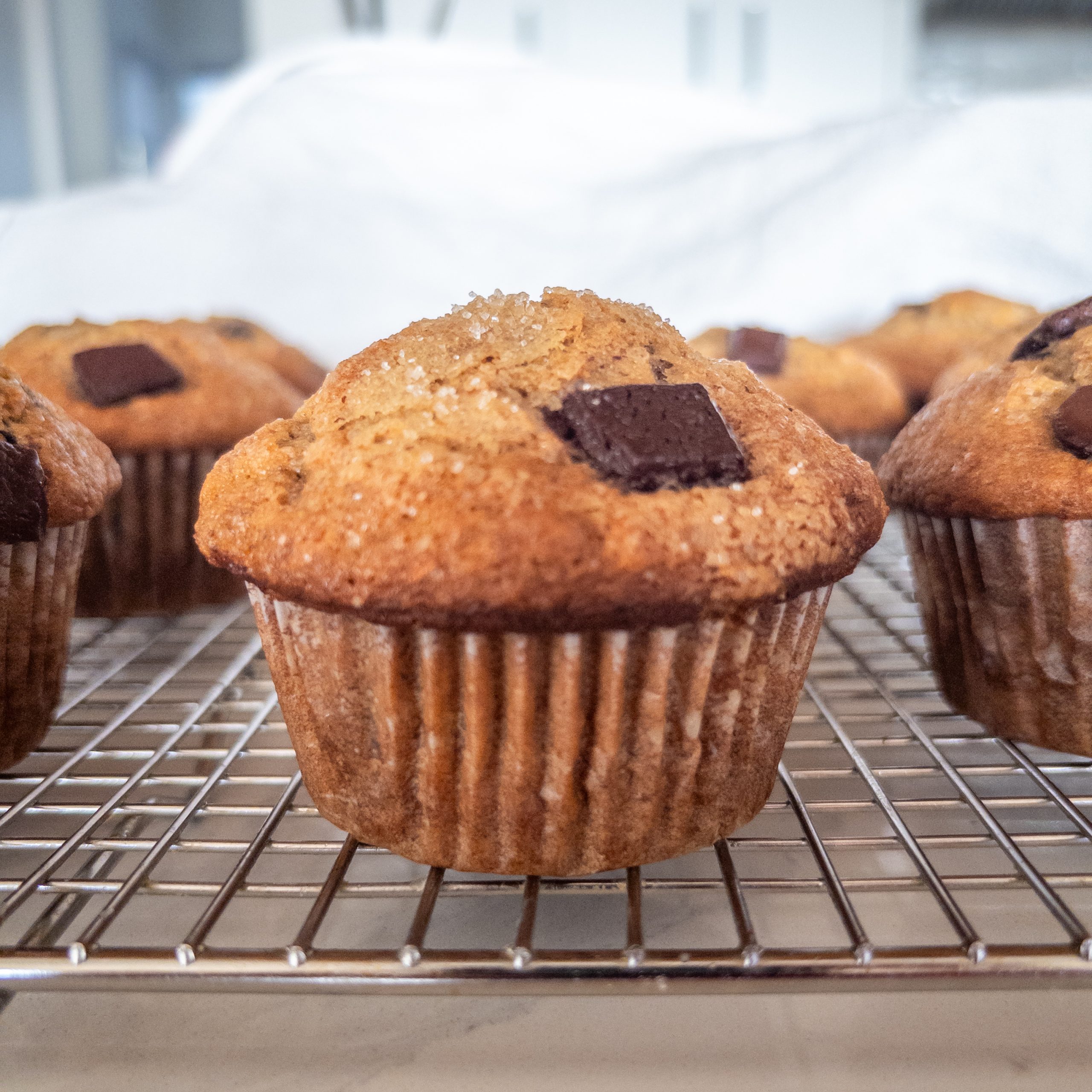 Chocolate Chunk Banana Muffins