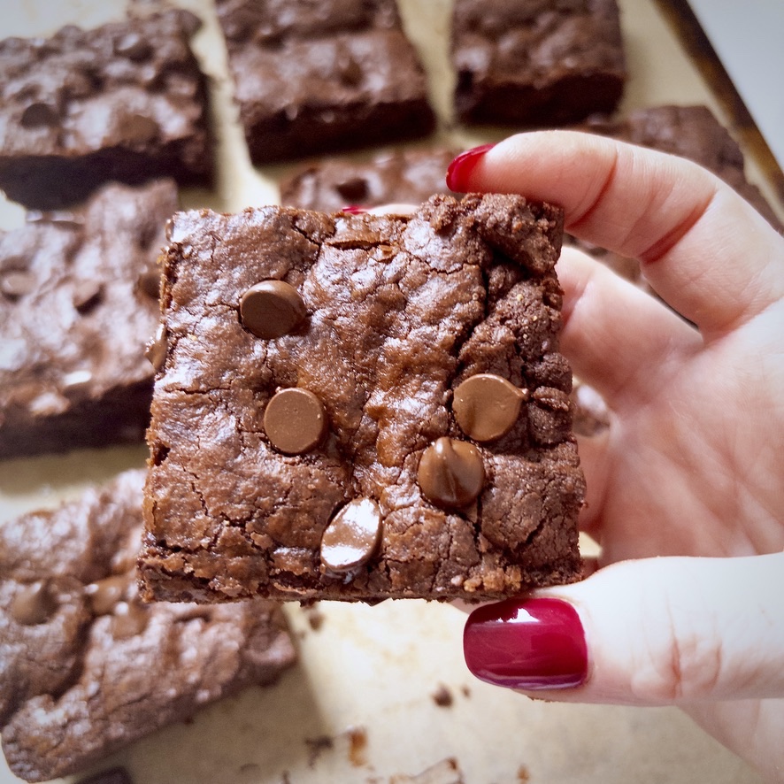 Chocolate Chocolate Chip Cookie Bars