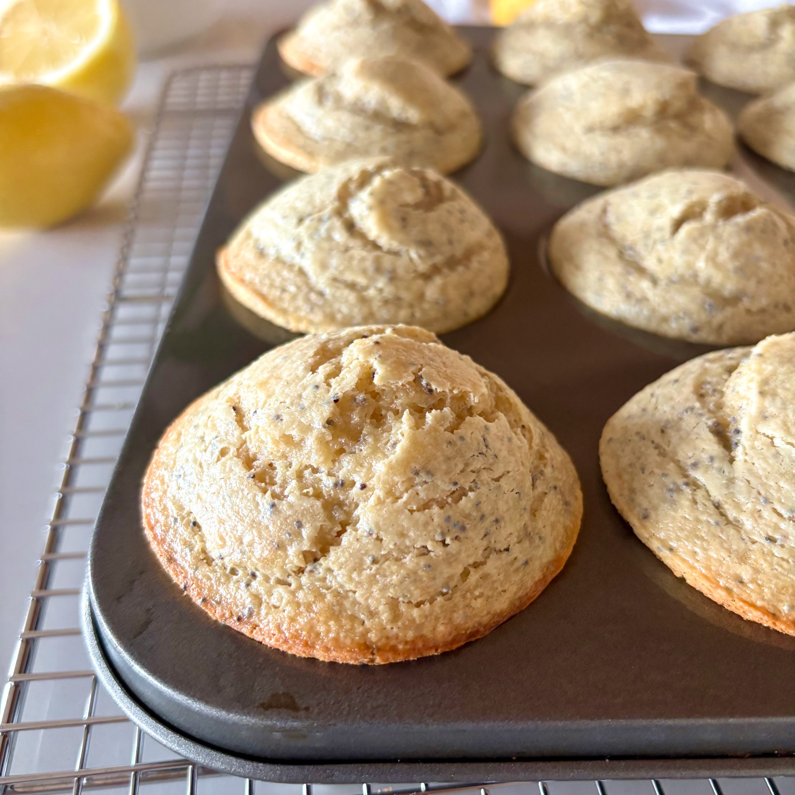 Lemon Oat Poppy Seed Blender Muffins