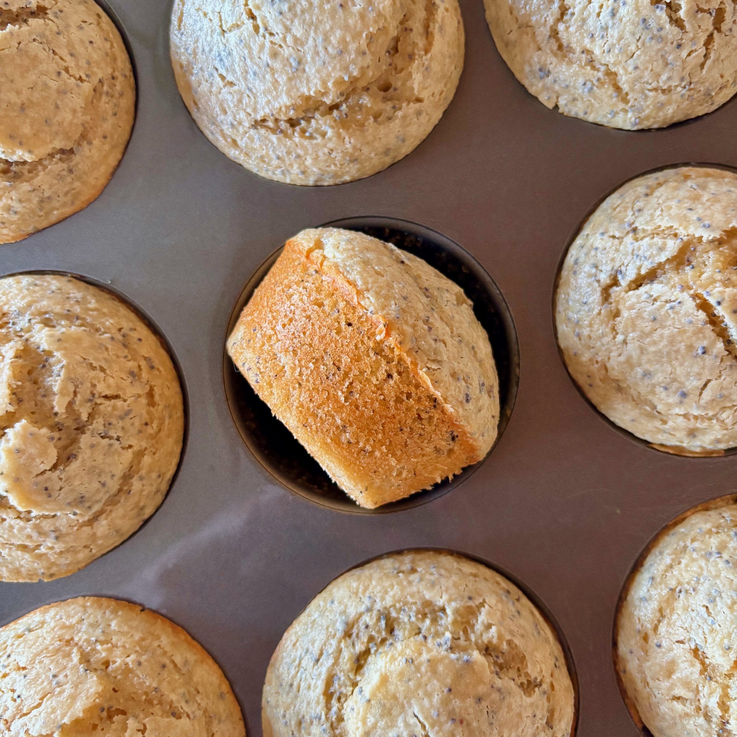 Lemon Oat Poppy Seed Blender Muffins