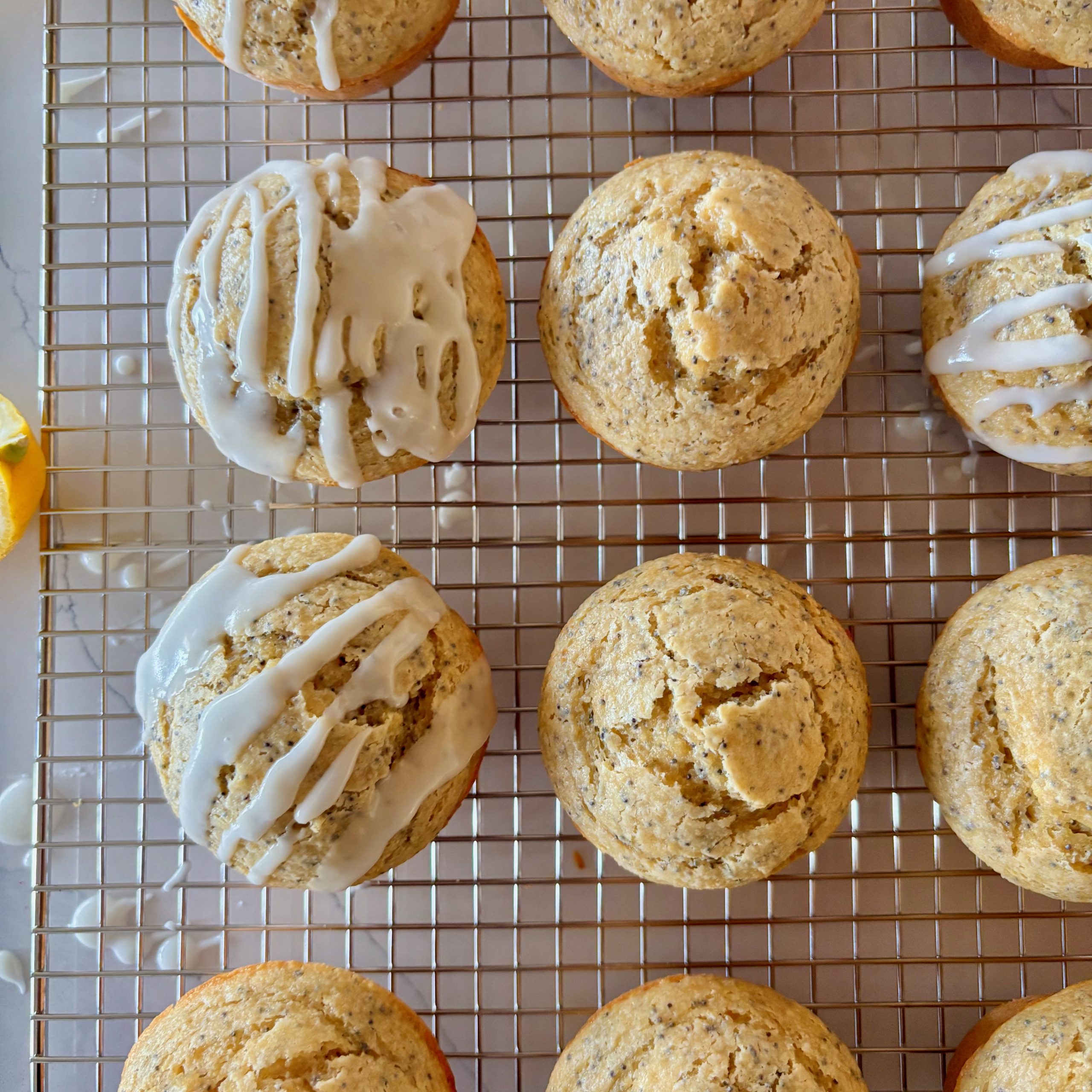 Lemon Oat Poppy Seed Blender Muffins