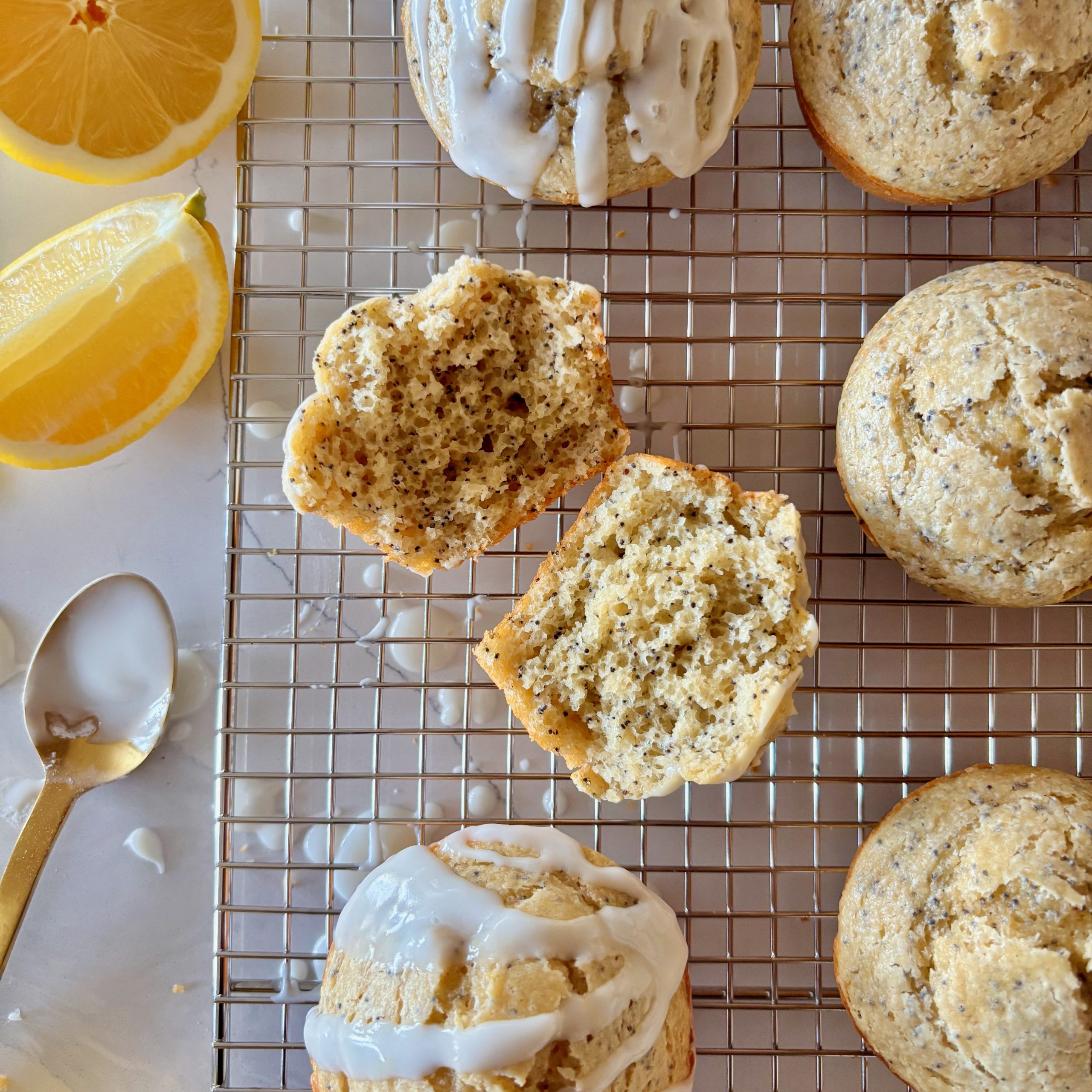 Lemon Oat Poppy Seed Blender Muffins