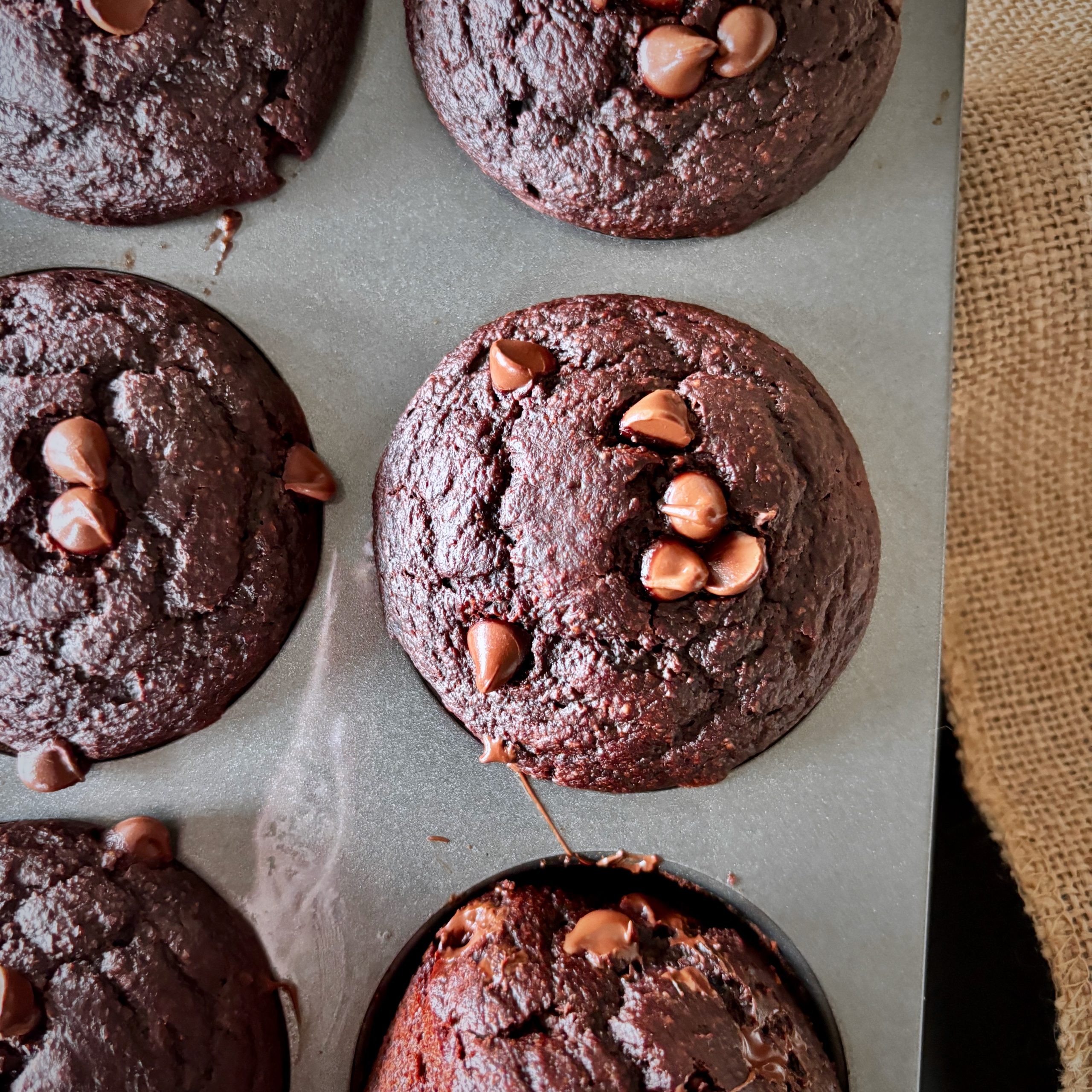 Close-up of chocolate zucchini blender muffins with chocolate chips