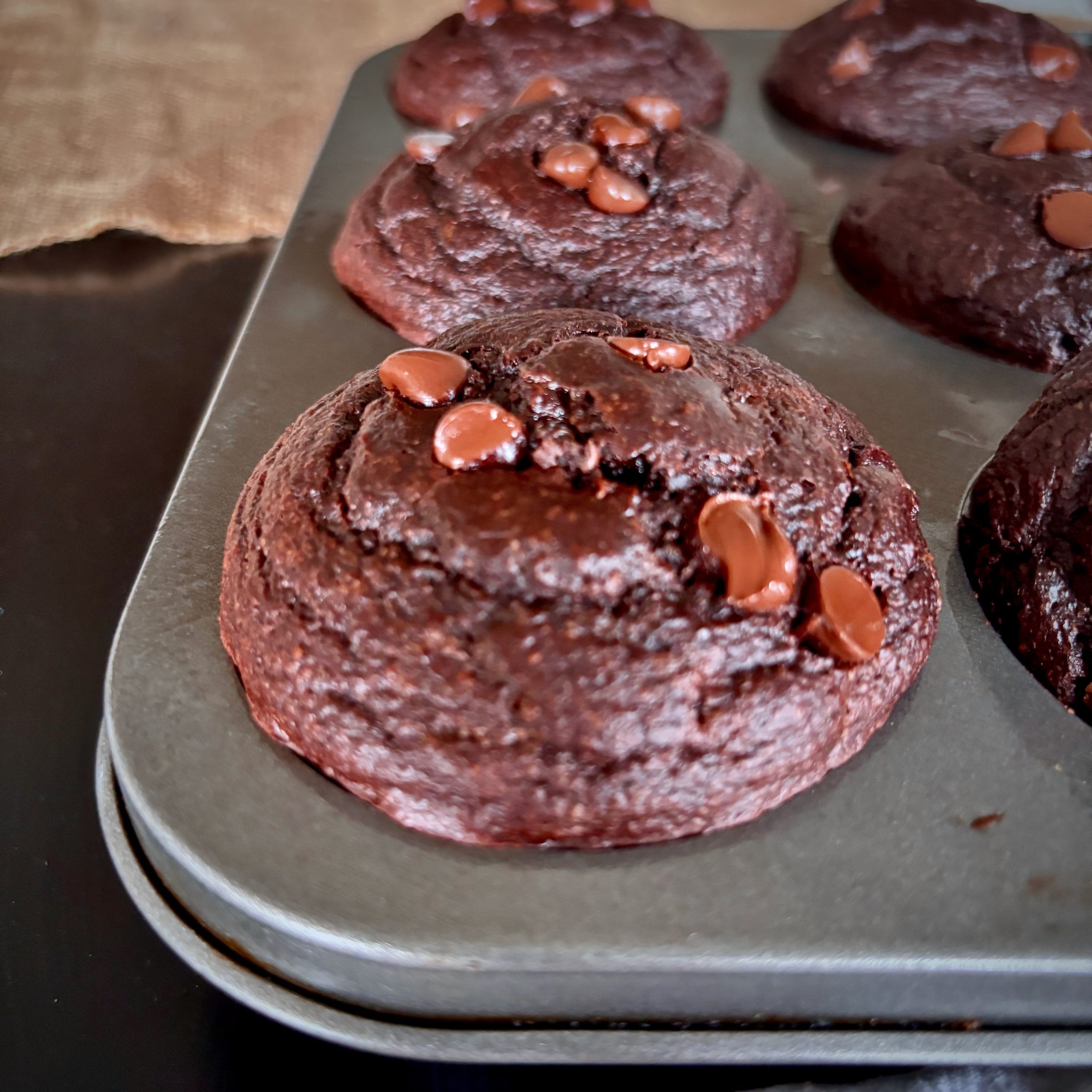 Close-up of fudgy chocolate muffin with chocolate chips on top