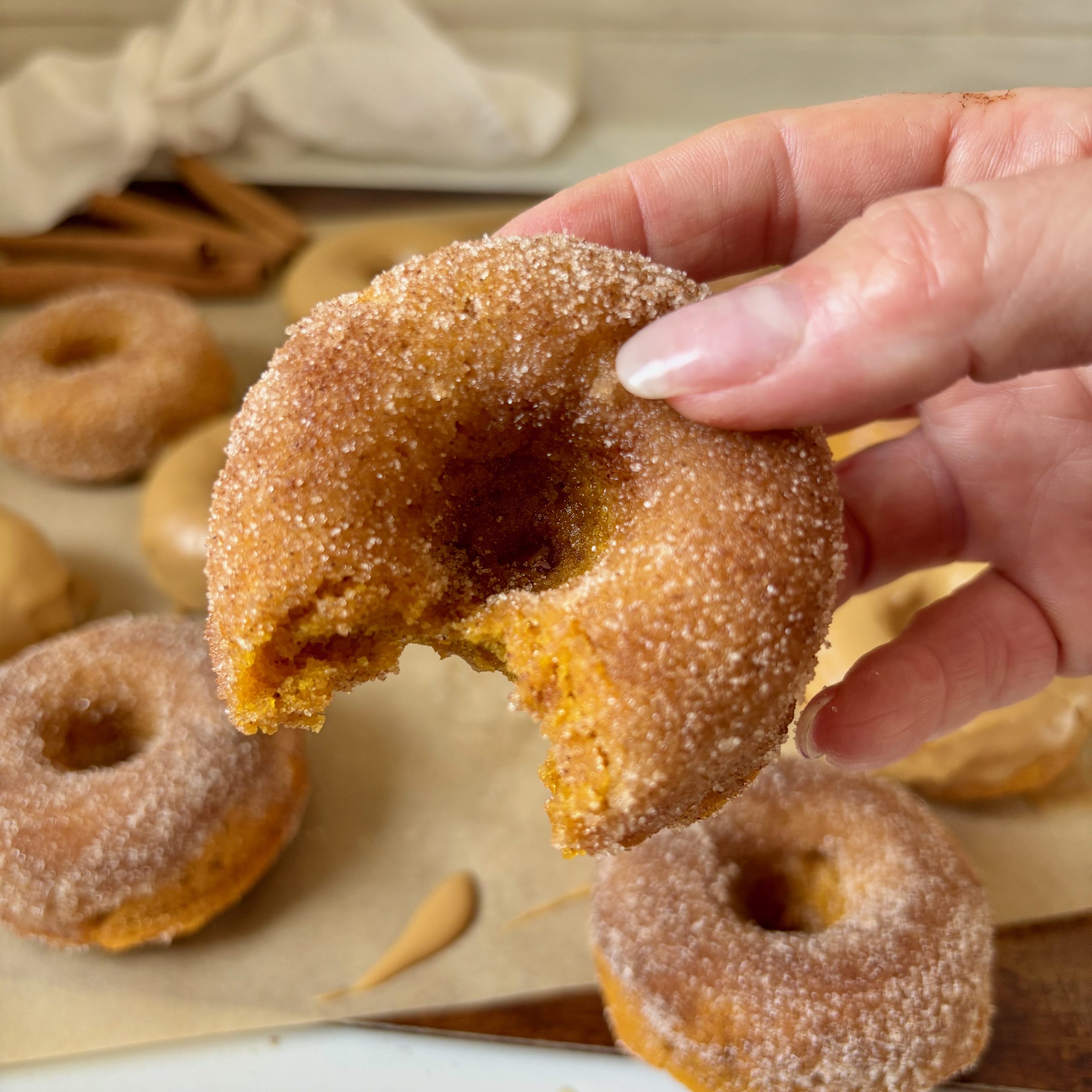 Hand holding pumpkin spice donut with cinnamon sugar topping