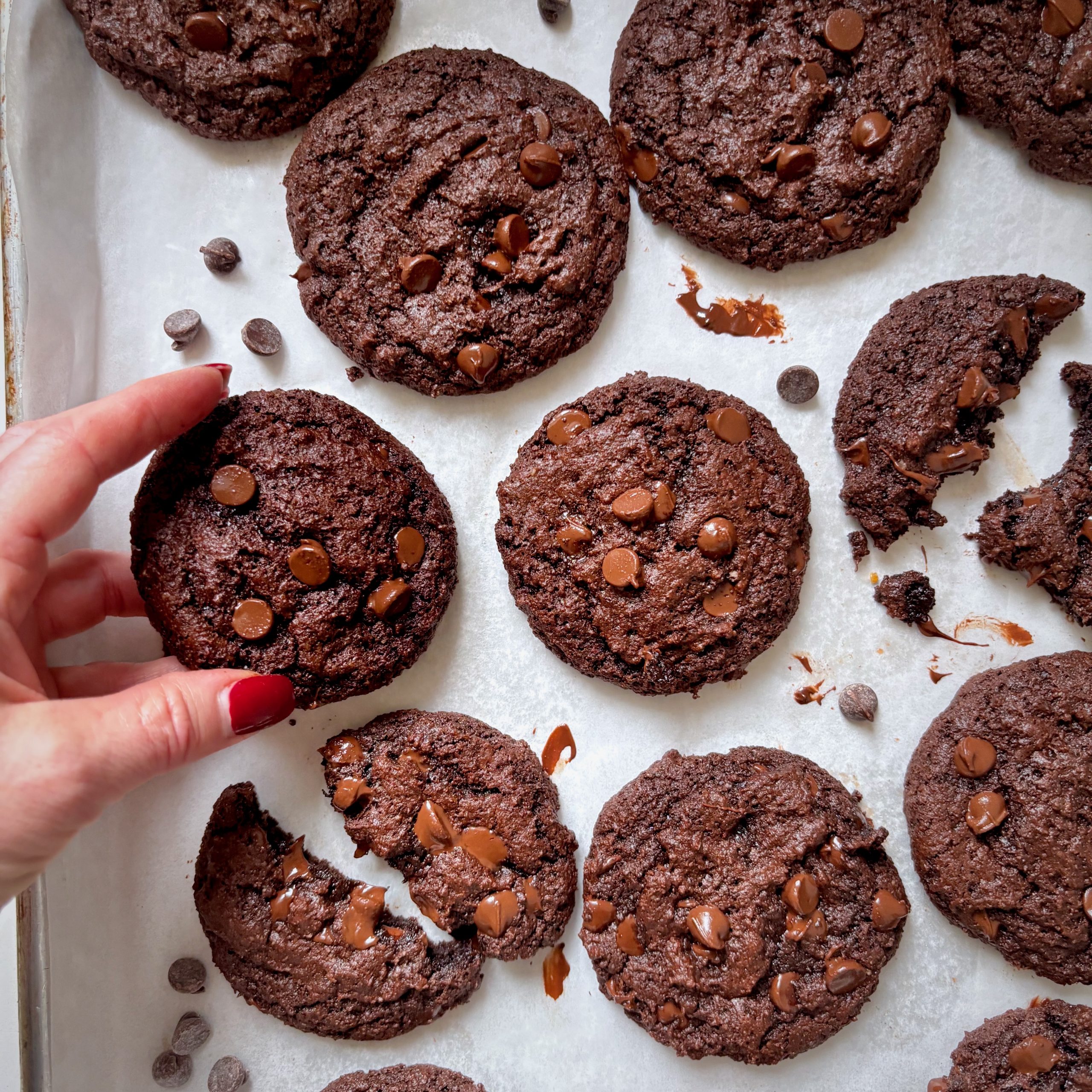 Almond flour cocoa cookies with chocolate chips on a baking sheet