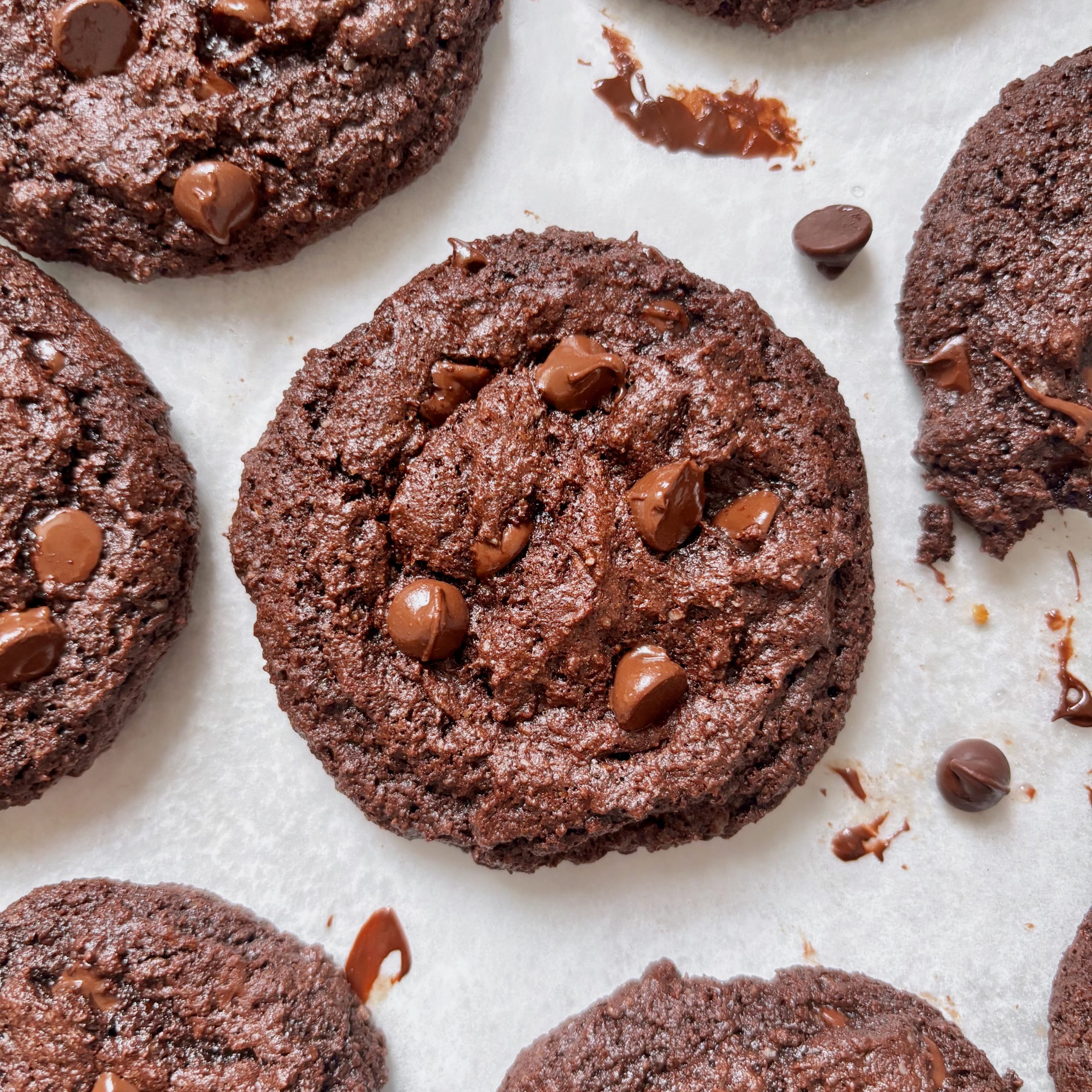 Almond Flour Cocoa Cookies