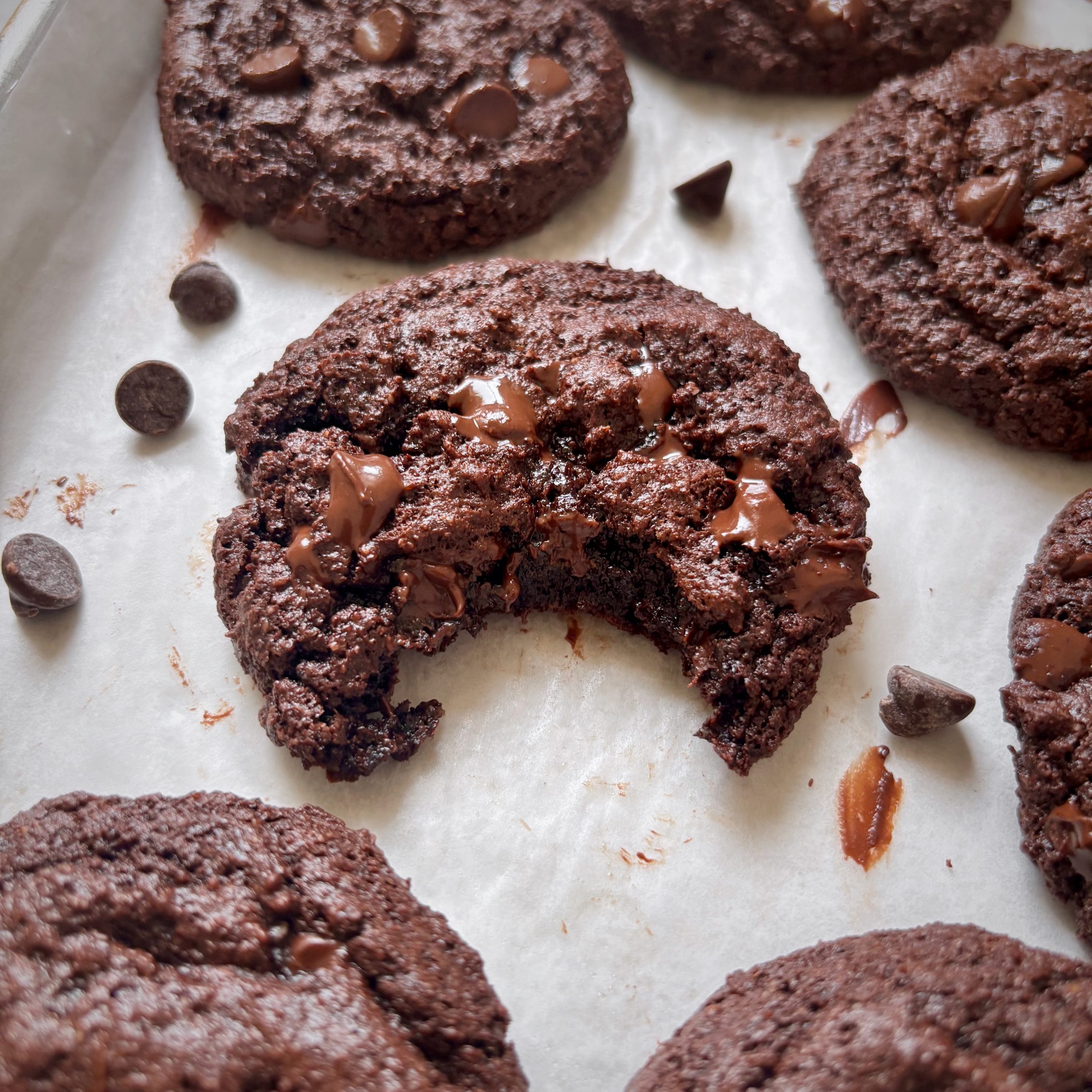 Fudgy and chewy almond flour chocolate cookies