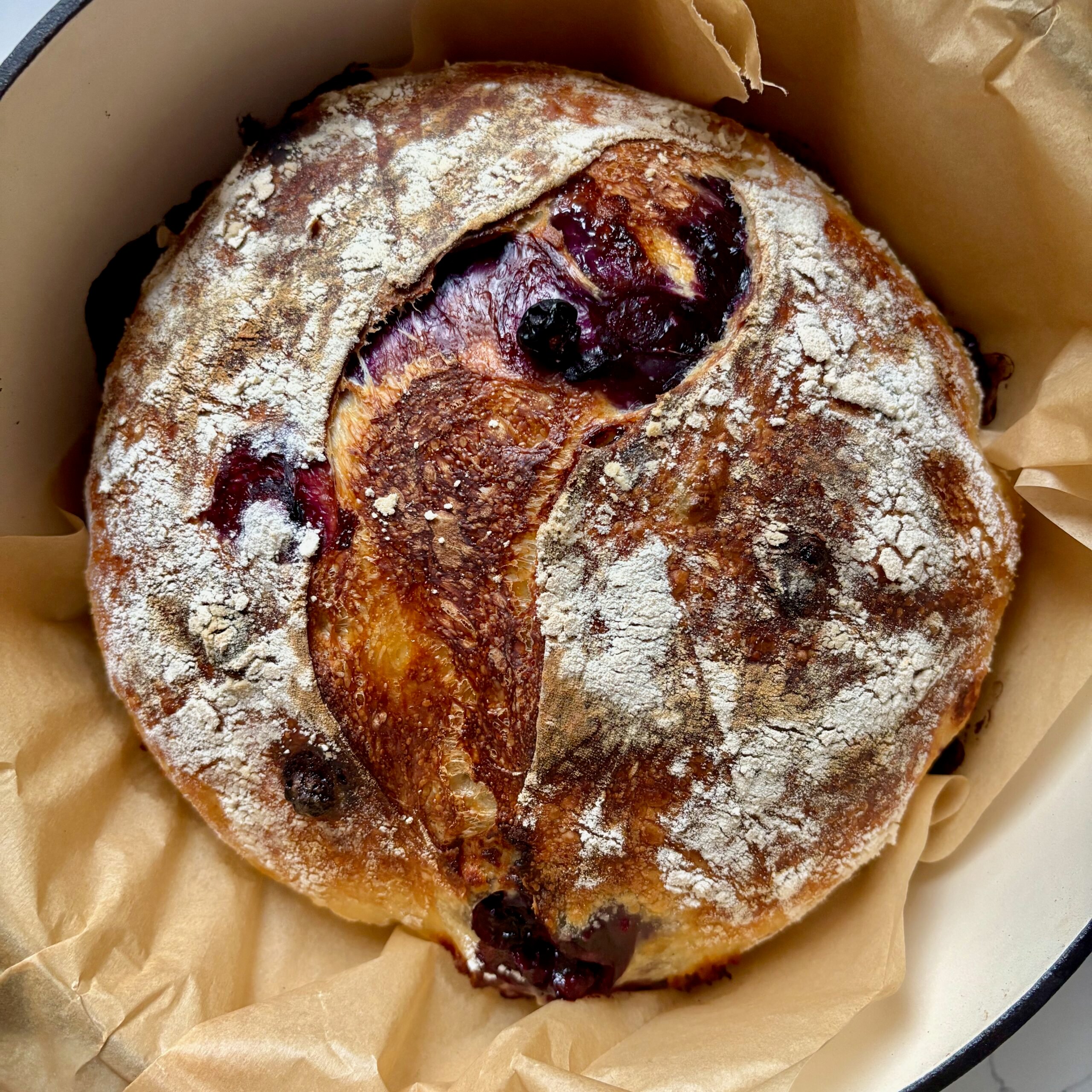 Blueberry Sourdough Bread with White Chocolate on Parchment in Dutch Oven