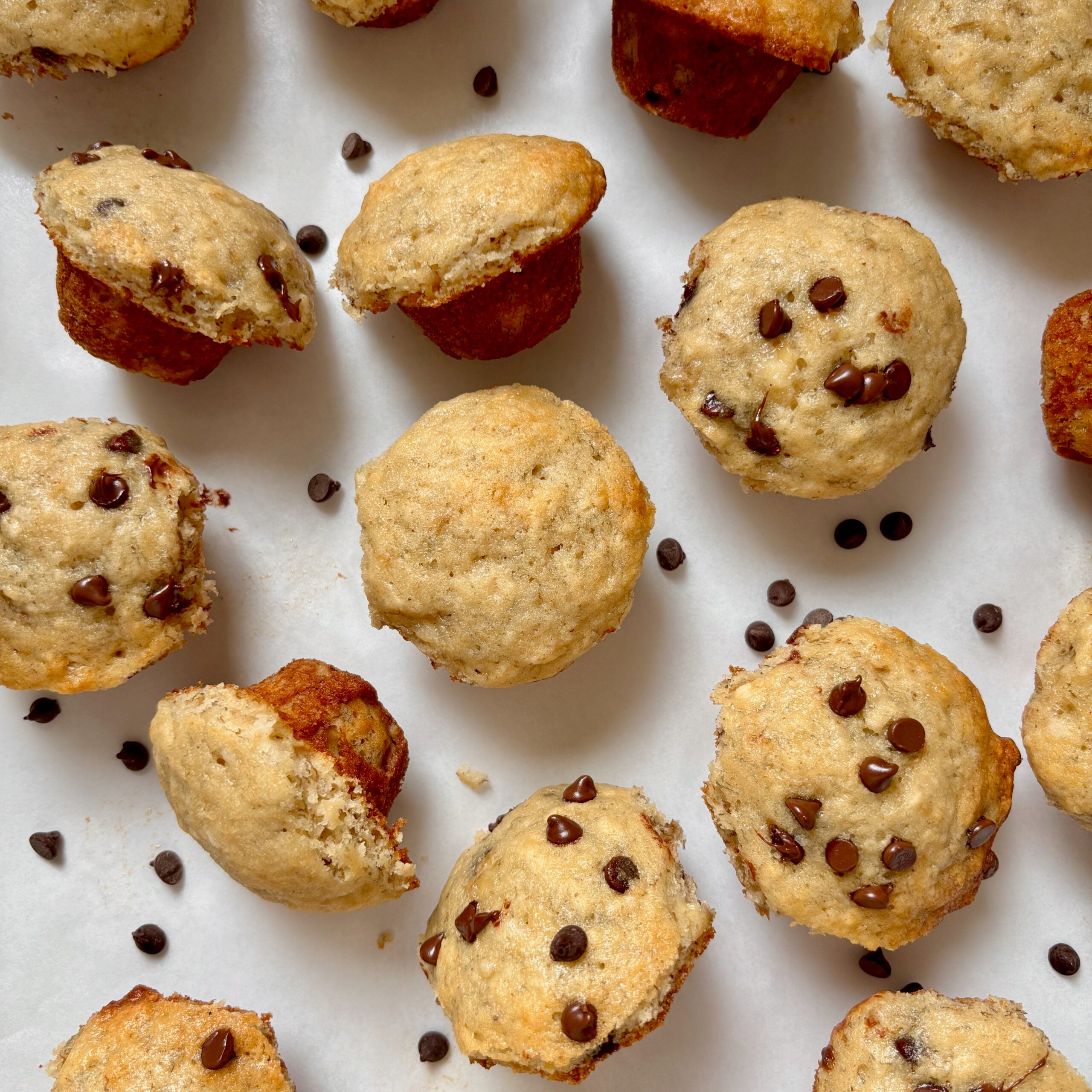 Regular and chocolate chip mini banana bread muffins