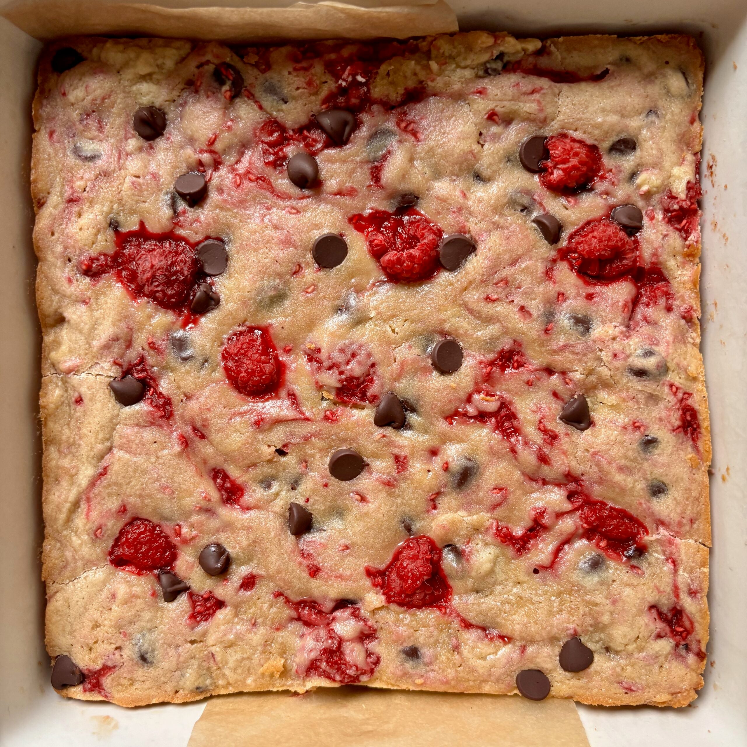 One-bowl dark chocolate raspberry blondies fresh from the oven.