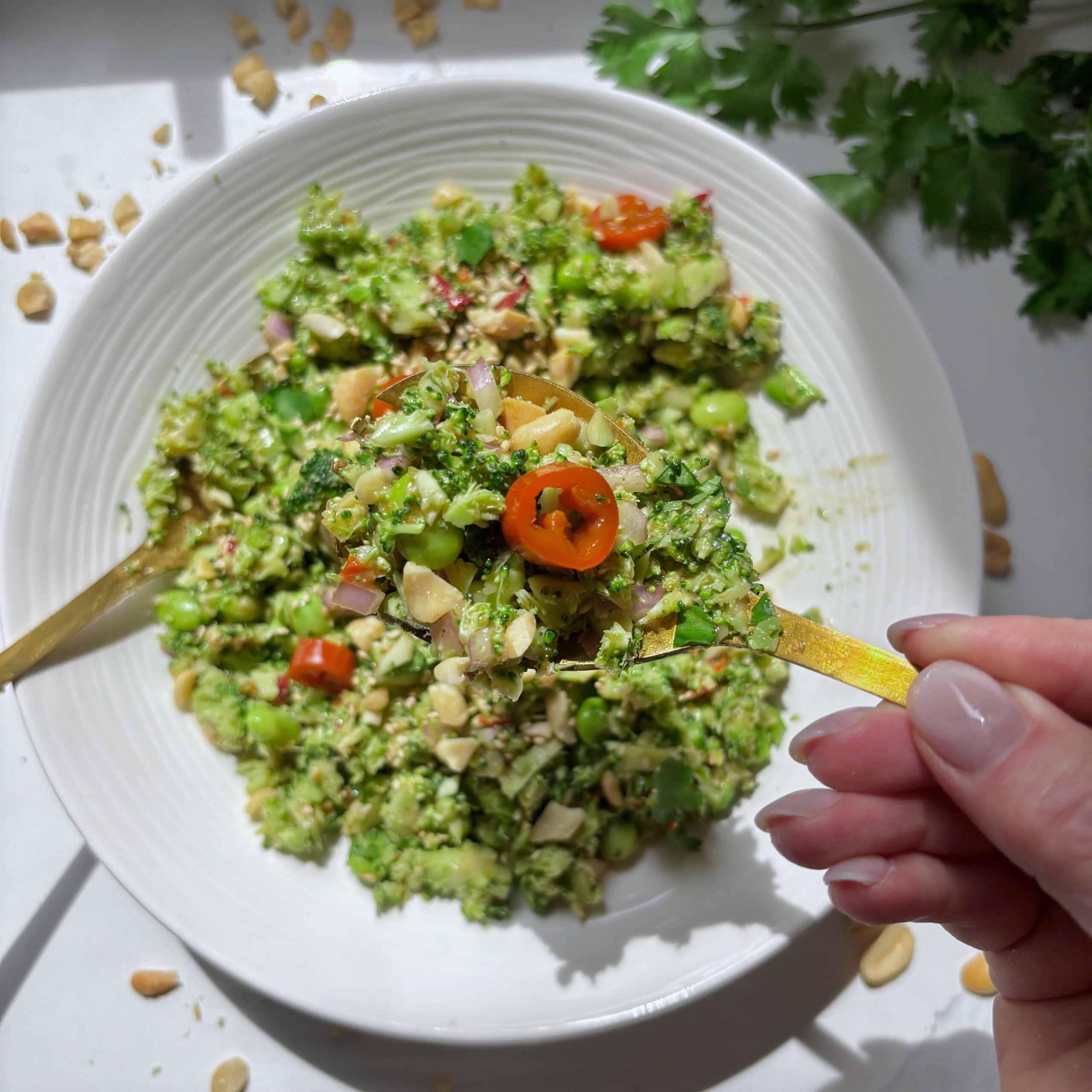 Spoonful of chopped broccoli salad showing crunchy vegetables and creamy dressing.